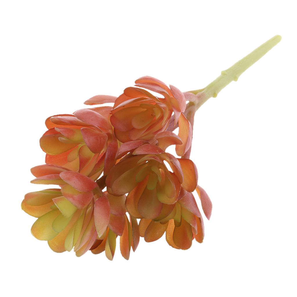 Plastic Artificial Succulents  - đánh giá và giá Echeveria Succulent