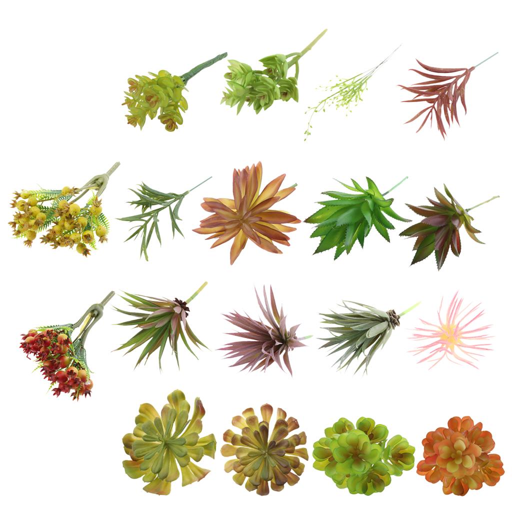 Plastic Artificial Succulents  - đánh giá và giá Echeveria Succulent