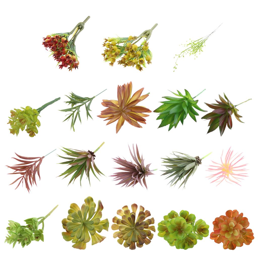 Plastic Artificial Succulents  - đánh giá và giá Echeveria Succulent