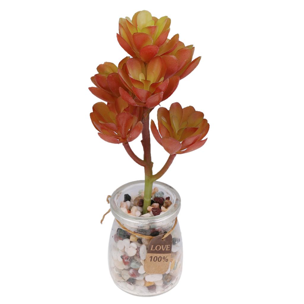 Plastic Artificial Succulents  - đánh giá và giá Echeveria Succulent