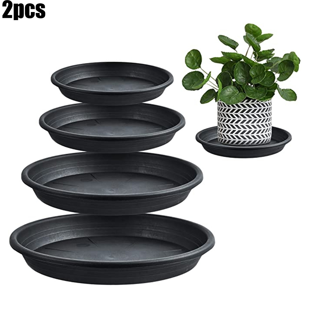 2pcs Plant Trays Round Succule - đánh giá và giá Echeveria Succulent