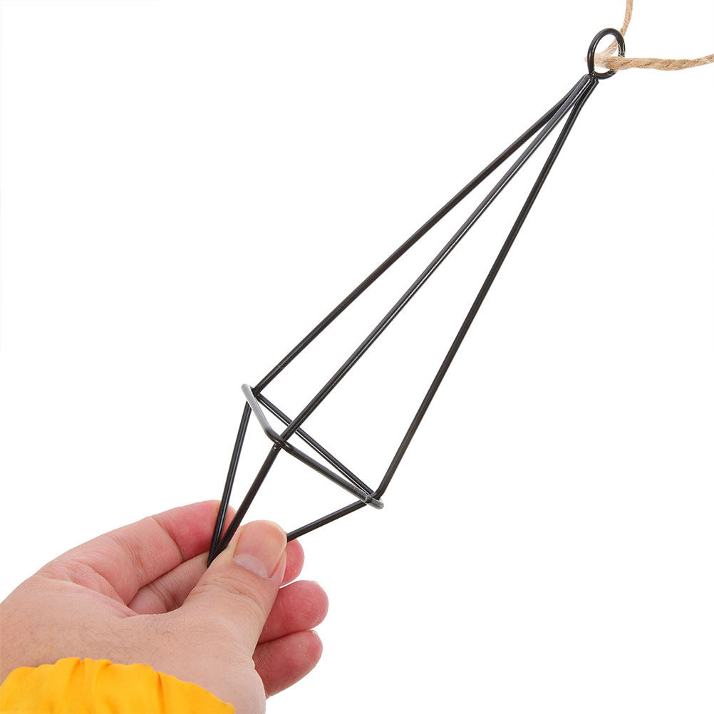 2Pcs Hanging Air Plant Holder  - đánh giá và giá Spider Plant Hanging
