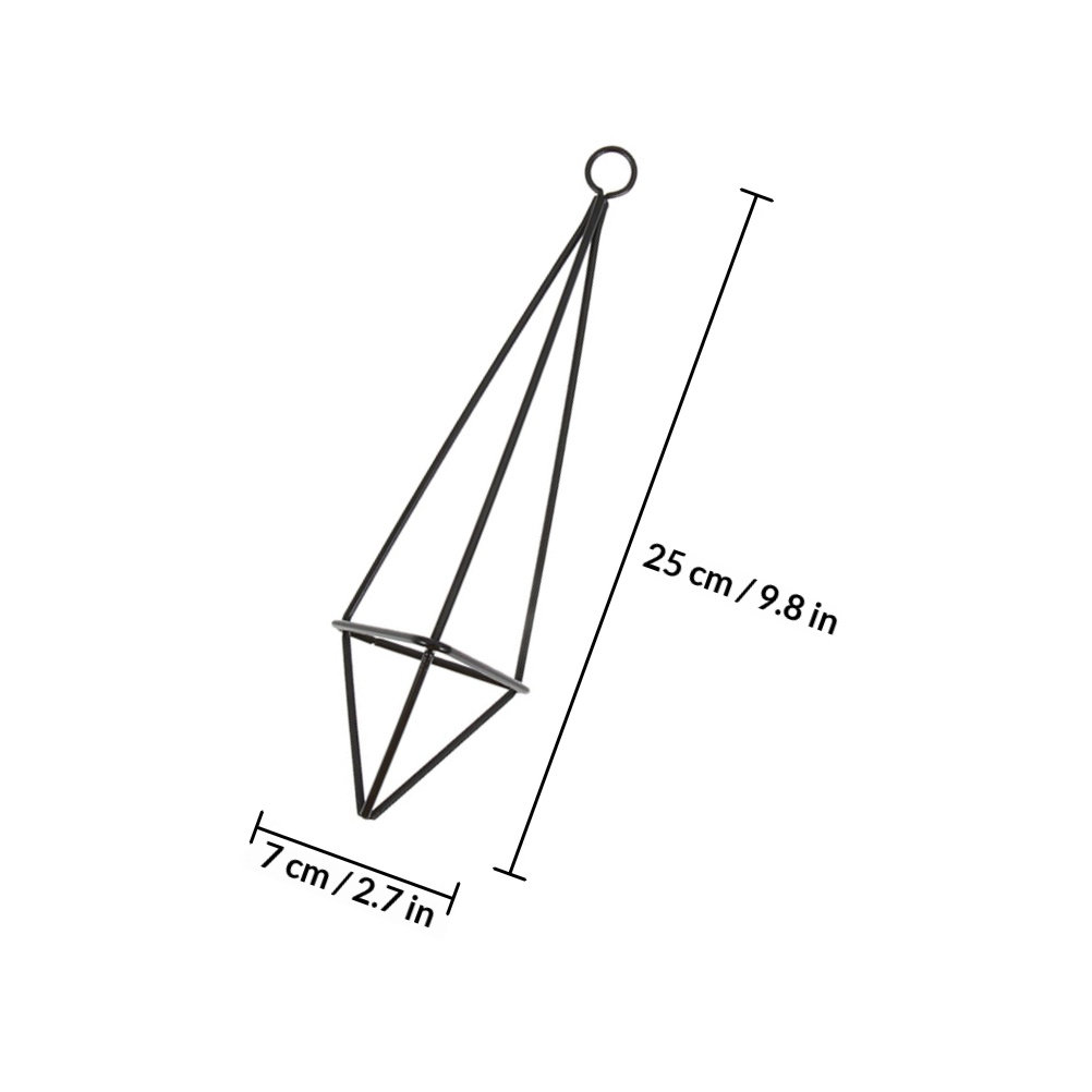 2Pcs Hanging Air Plant Holder  - đánh giá và giá Spider Plant Hanging