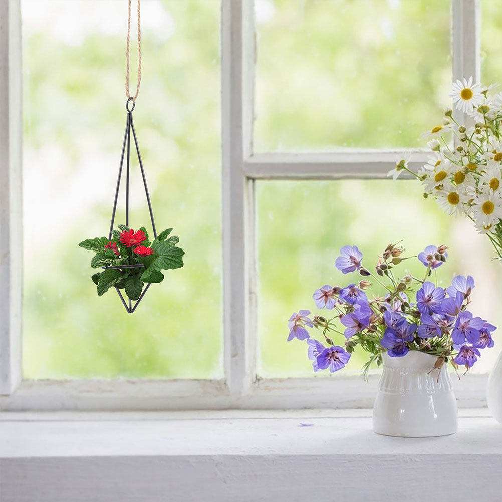 2Pcs Hanging Air Plant Holder  - đánh giá và giá Spider Plant Hanging